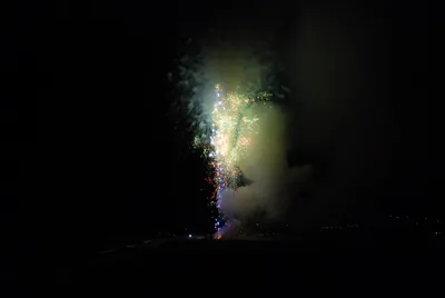 DSC_0082 (Large).JPG